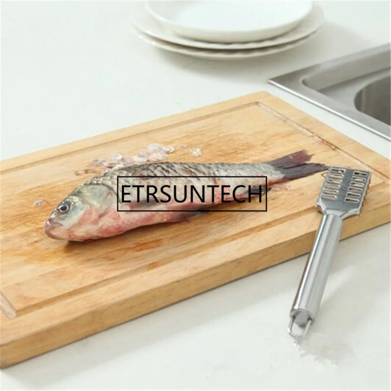 100pcs Stainless Steel Descaler Fish Skin Brush Tools Fast Remove Fish Knife Cleaning Peeler Scaler Kitchen Tools
100pcs Stainless Steel Descaler Fish Skin Brush Tools Fast Remove Fish Knife Cleaning Peeler Scaler Kitchen Tools