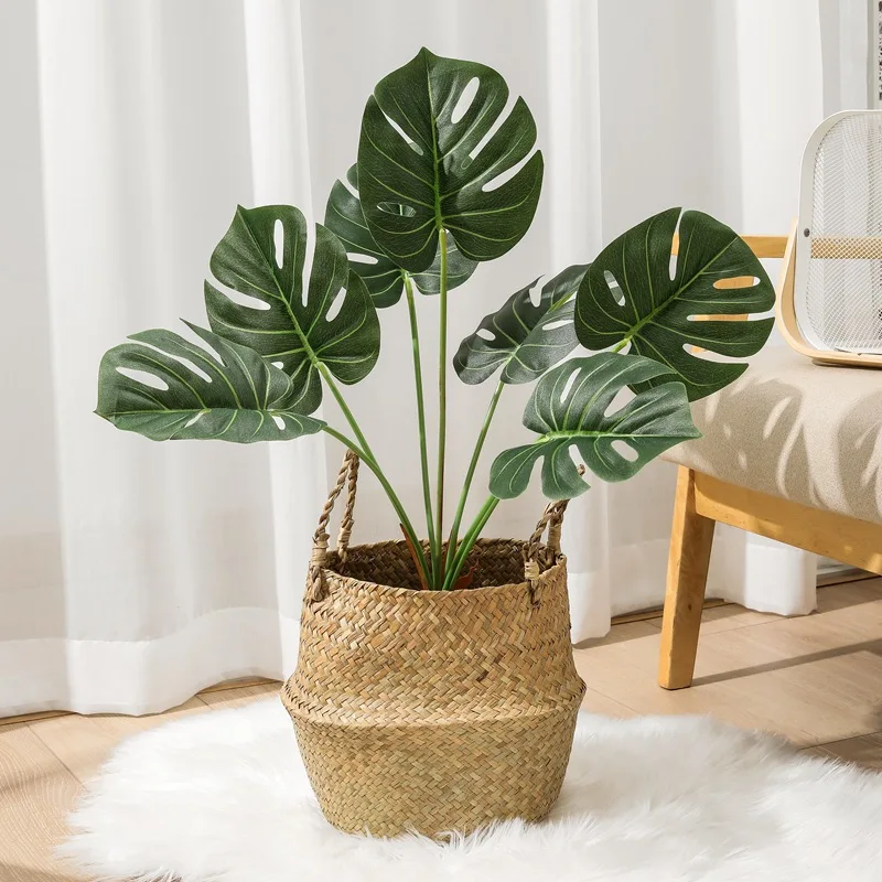 59cm Nordic Artificial Plants Monstera Guanyin Lotus Alocasia Floor Leaf Green Plant Without Vase Living Room Decor Fake Flower
59cm Nordic Artificial Plants Monstera Guanyin Lotus Alocasia Floor Leaf Green Plant Without Vase Living Room Decor Fake Flower