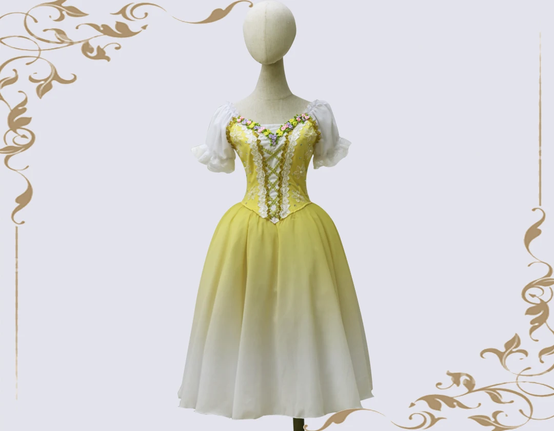Ballet skirt dance dance costumes for women dress tulle skirt adult Ballet costumes
Ballet skirt dance dance costumes for women dress tulle skirt adult Ballet costumes