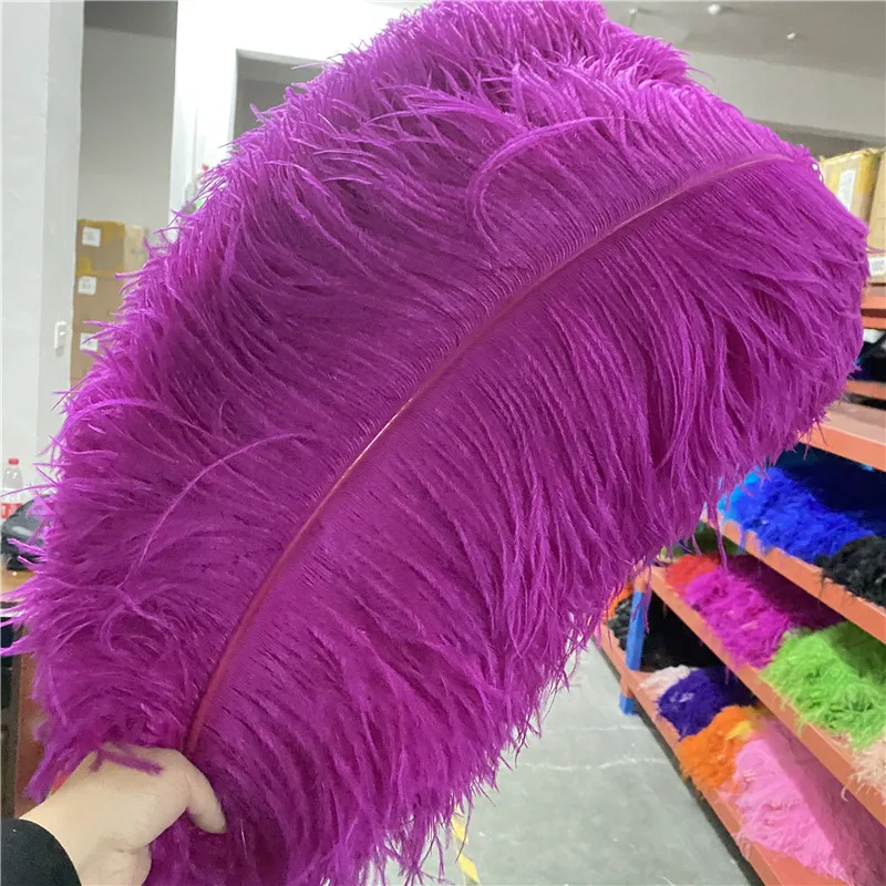 Wholesale 20pcs/lot Fluffy Rose Ostrich Feather Party 26-28inches/65-70cm Christmas Accessories Wedding Carnival Plumas
Wholesale 20pcs/lot Fluffy Rose Ostrich Feather Party 26-28inches/65-70cm Christmas Accessories Wedding Carnival Plumas