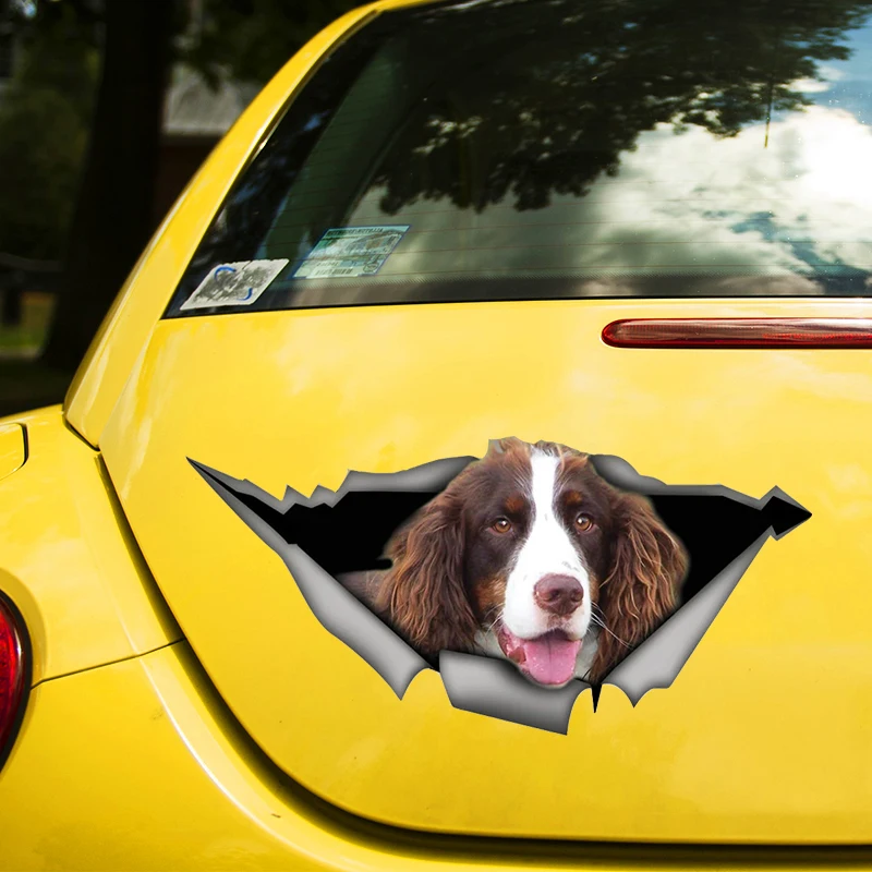 Brown and White Springer Spaniel Dog 3D Decal Funny Car Sticker Waterproof Auto Decors on Bumper Rear Window Laptop #S60466
Brown and White Springer Spaniel Dog 3D Decal Funny Car Sticker Waterproof Auto Decors on Bumper Rear Window Laptop #S60466
