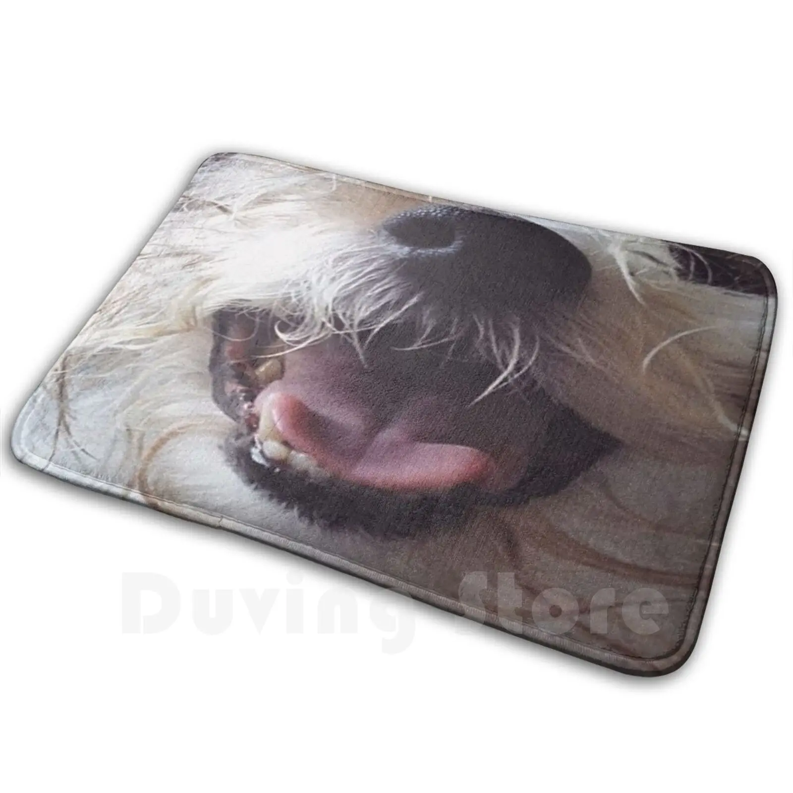 Dog Nose Soft Non-Slip Mat Rug Carpet Cushion Animal Dog Jack Russell Dog Face Dog Mouth Dog Nose
Dog Nose Soft Non-Slip Mat Rug Carpet Cushion Animal Dog Jack Russell Dog Face Dog Mouth Dog Nose
