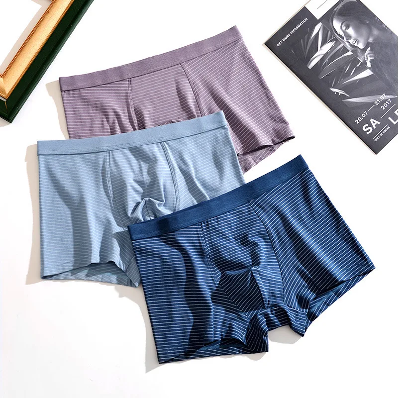 3PCS/Lots Mens Underwear Striped Panties Bugle Pouch Seamless Breathable Underpants Ropa Interior Para Boxershorts Trunks 3XL
3PCS/Lots Mens Underwear Striped Panties Bugle Pouch Seamless Breathable Underpants Ropa Interior Para Boxershorts Trunks 3XL