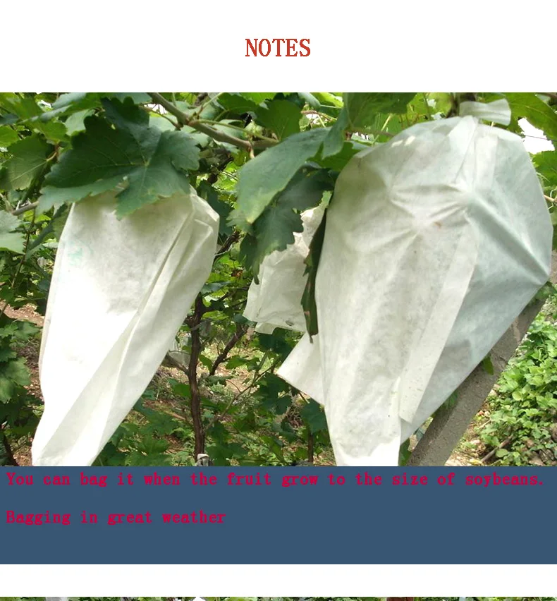 100pcs/lot Grape bagging bag, insect proof, waterproof, rainproof grape bag, fruit bag, bird-proof, grape-specific paper bag
100pcs/lot Grape bagging bag, insect proof, waterproof, rainproof grape bag, fruit bag, bird-proof, grape-specific paper bag
