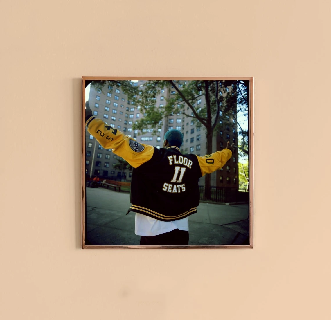 A $ AP Ferg - Floor сиденья II Обложка для музыкального альбома постер холст печать рэп хип-хоп музыка Звезда Певица
A $ AP Ferg - Floor сиденья II Обложка для музыкального альбома постер холст печать рэп хип-хоп музыка Звезда Певица