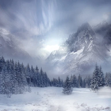 10x10FT Grey Clouds Sky Mountain Peak Valley Snowy Pine Forest Trees Custom Backdrop Photo Studio Background Vinyl 300cm x 300cm
10x10FT Grey Clouds Sky Mountain Peak Valley Snowy Pine Forest Trees Custom Backdrop Photo Studio Background Vinyl 300cm x 300cm