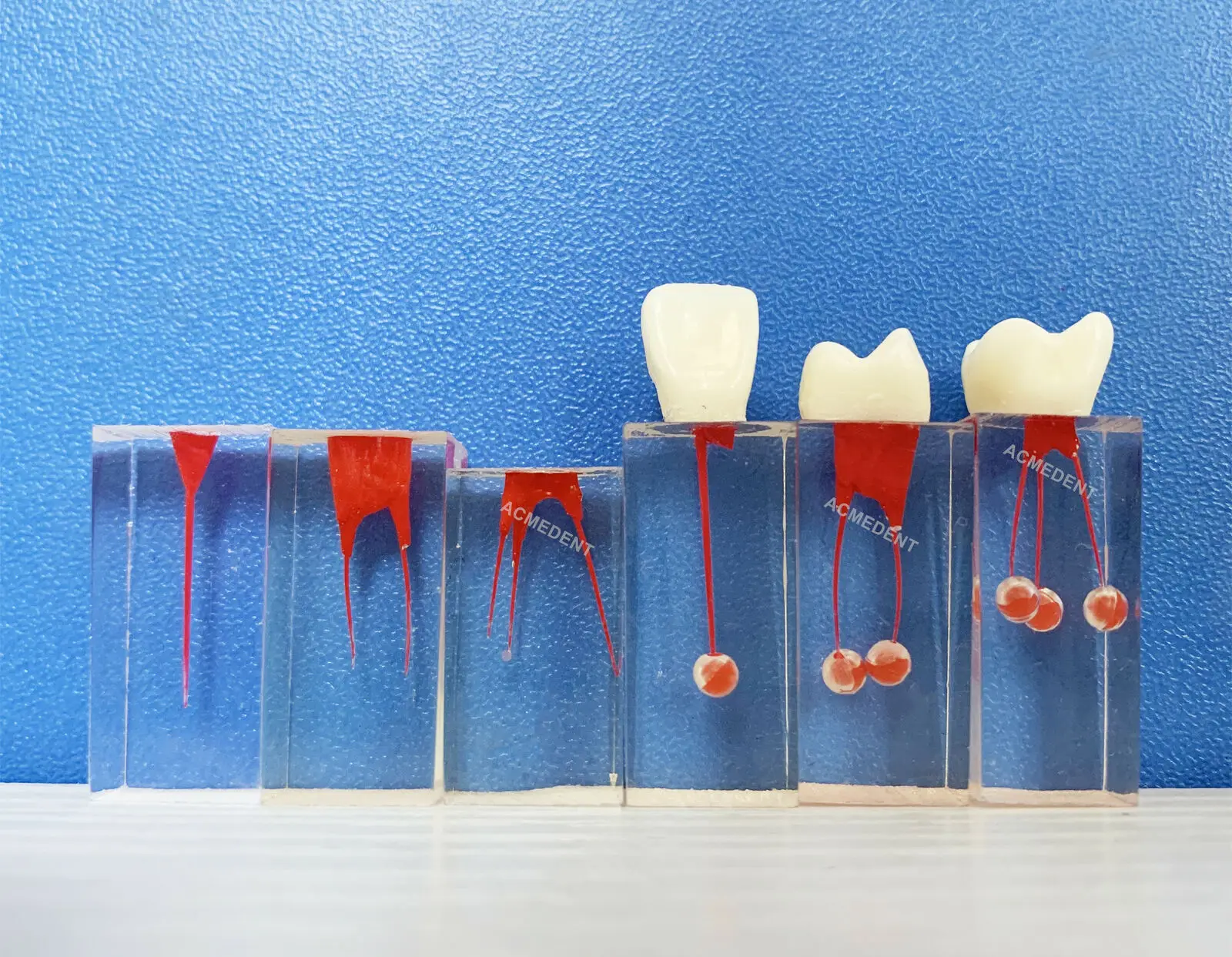 2Pcs Dental RCT File Block Training Root Canal Model Rotary Files Practise Crown Student practice model
2Pcs Dental RCT File Block Training Root Canal Model Rotary Files Practise Crown Student practice model