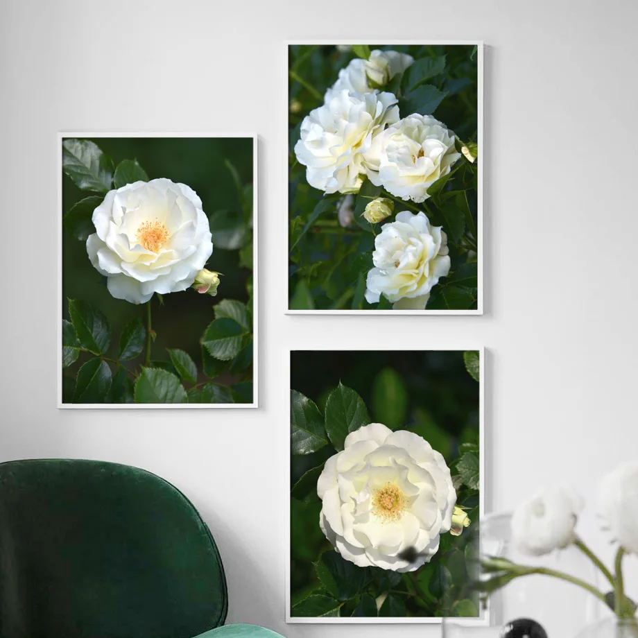 White Rose Flower Green Leaves Wall Art Canvas Painting Nordic Posters And Prints Plant Wall Pictures For Living Room Home Decor
White Rose Flower Green Leaves Wall Art Canvas Painting Nordic Posters And Prints Plant Wall Pictures For Living Room Home Decor