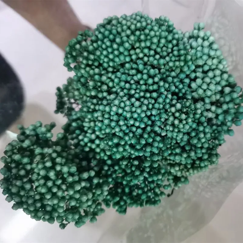 50cm Eternal Dry Rice Flower Millet Flowers Heads DIY Home Wedding Party Farmhouse Home Decor Natural Centerpieces
50cm Eternal Dry Rice Flower Millet Flowers Heads DIY Home Wedding Party Farmhouse Home Decor Natural Centerpieces