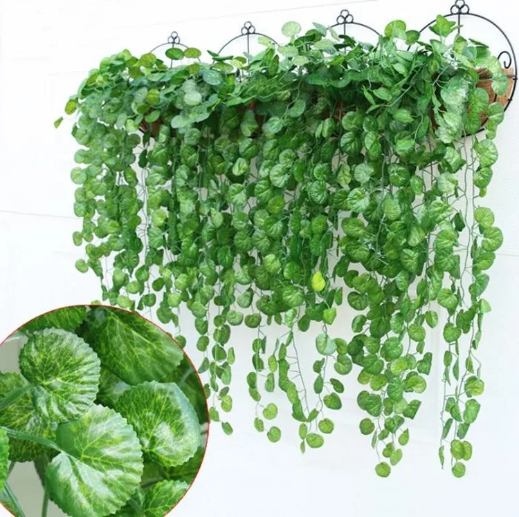 10PCS Green Artificial Fake Hanging Vine Plant Leaves Foliage Flower Garland Home Garden Wall Hanging Decoration IVY Vine Supply
10PCS Green Artificial Fake Hanging Vine Plant Leaves Foliage Flower Garland Home Garden Wall Hanging Decoration IVY Vine Supply