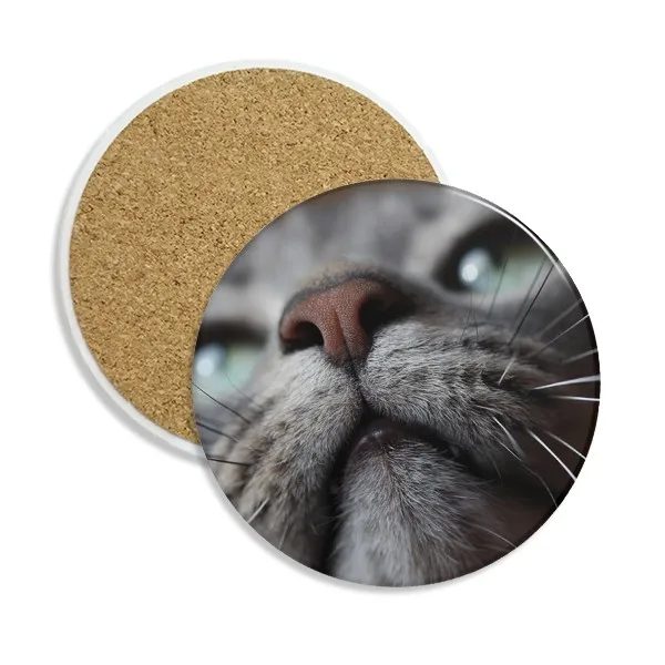 Animal Looking Up Cat Photograph Ceramic Coaster Cup Mug Holder Absorbent Stone for Drinks 2pcs Gift
Animal Looking Up Cat Photograph Ceramic Coaster Cup Mug Holder Absorbent Stone for Drinks 2pcs Gift
