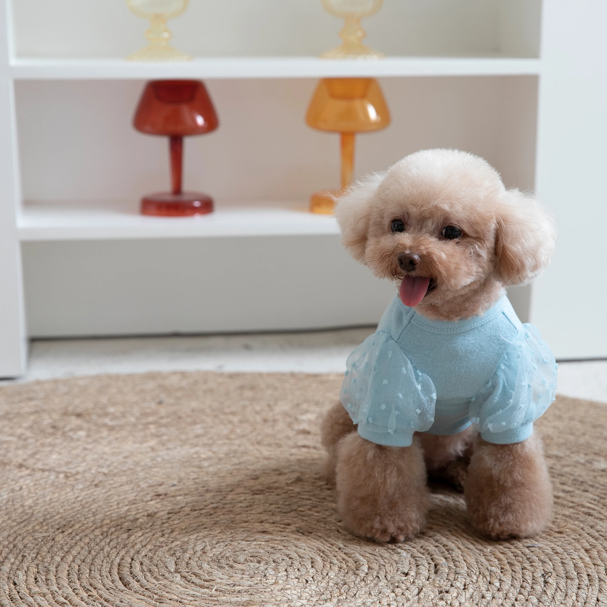 Net Yarn Bubble Princess Sleeve Top Sweater Pet Clothes Cats And Dogs Clothes Pet Bottoming Shirt
Net Yarn Bubble Princess Sleeve Top Sweater Pet Clothes Cats And Dogs Clothes Pet Bottoming Shirt