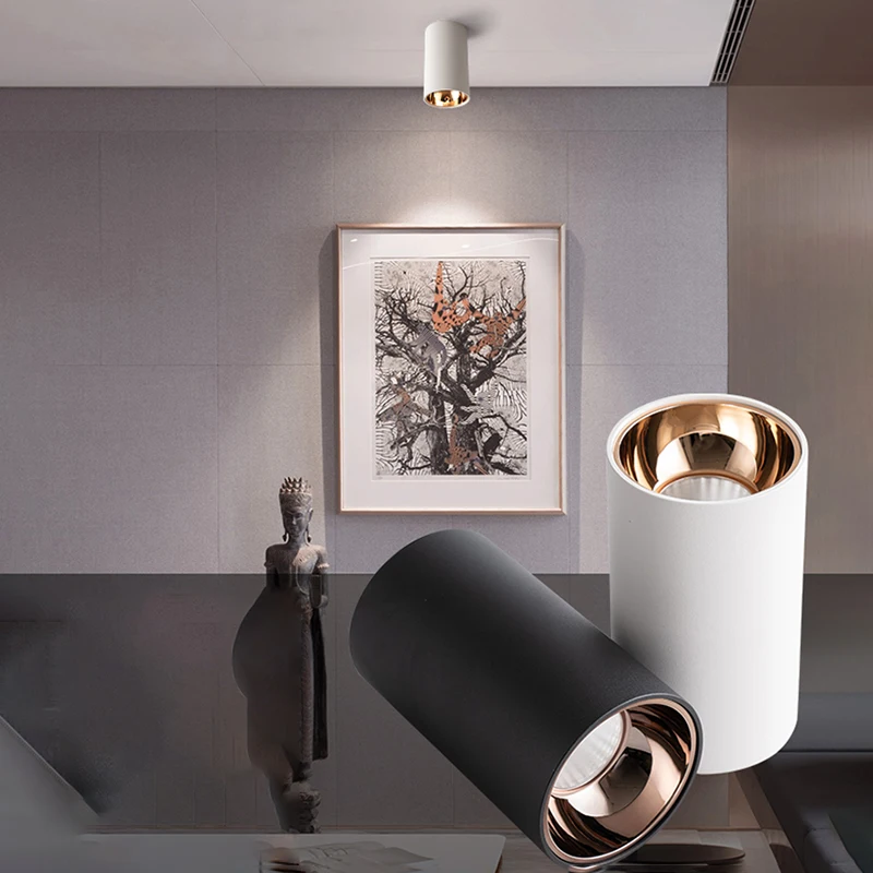 Dimmable Home decor Light Fixture LED Ceiling lights Down light Livingroom Kitchen Bedroom Foyer Offcer Rose Gold Ceiling lamp
Dimmable Home decor Light Fixture LED Ceiling lights Down light Livingroom Kitchen Bedroom Foyer Offcer Rose Gold Ceiling lamp