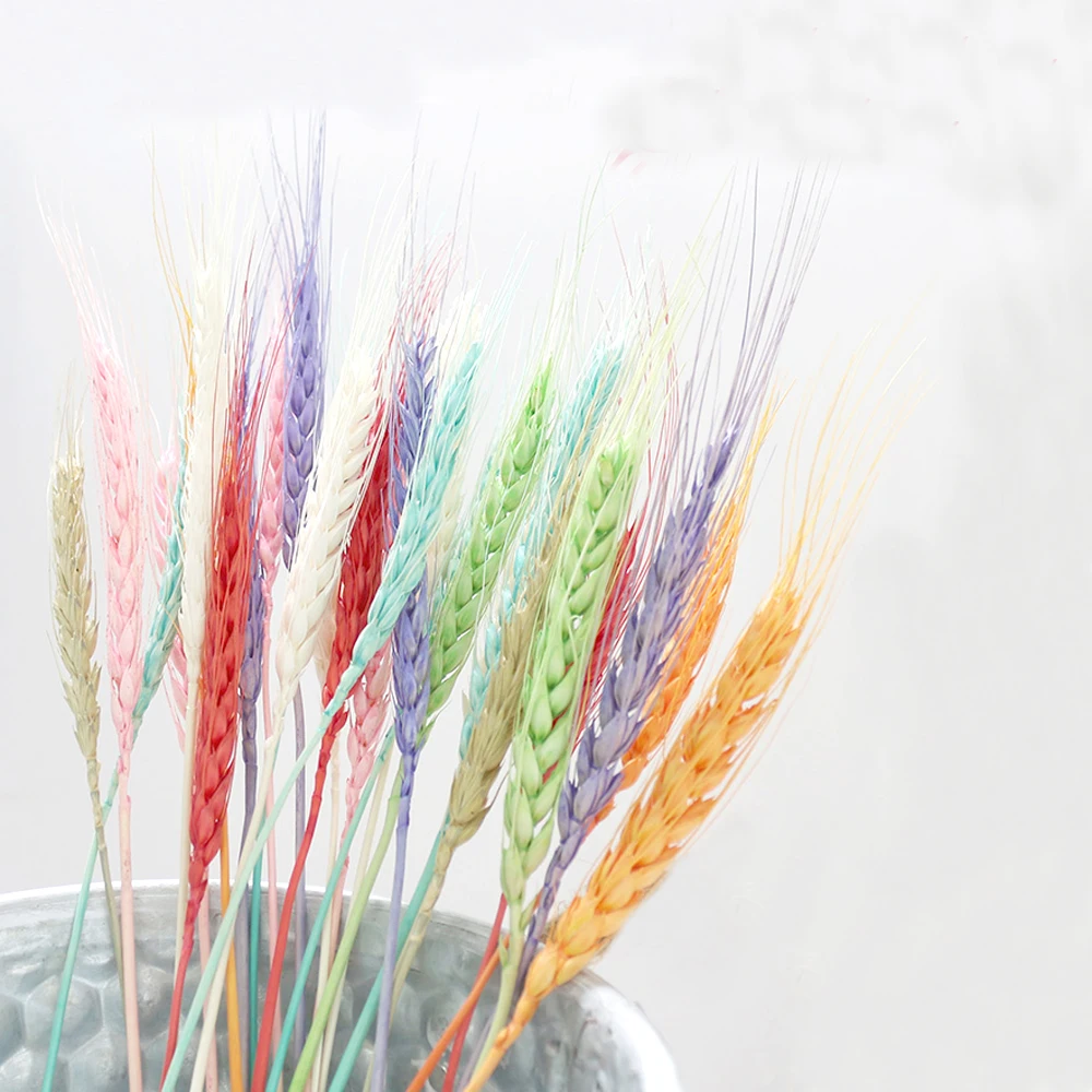 100pcs natural dried flower bouquets natural mix color dried ear of wheat bouquets&mix color wheat ear Bunches
100pcs natural dried flower bouquets natural mix color dried ear of wheat bouquets&mix color wheat ear Bunches