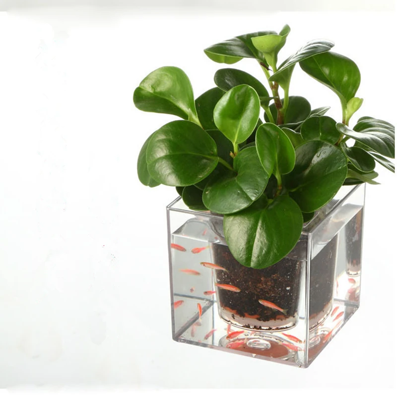 Modern Style Creative Clear Tube Plant Pot / Flower Pot Decorative Self-Watering Planter Fish Tank for Home Office Desk
Modern Style Creative Clear Tube Plant Pot / Flower Pot Decorative Self-Watering Planter Fish Tank for Home Office Desk