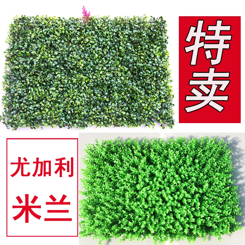 Elegant simulation lawn special Milan little eucalyptus plant wall garden decoration green plant background wall indoor and
Elegant simulation lawn special Milan little eucalyptus plant wall garden decoration green plant background wall indoor and
