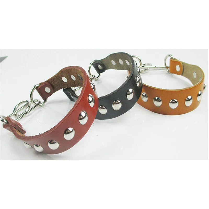 Italian Greyhound Leather Collar Greyhound/Whippet Special Orange Accessories Dog Collar Dog Leash Dog Accessories
Italian Greyhound Leather Collar Greyhound/Whippet Special Orange Accessories Dog Collar Dog Leash Dog Accessories