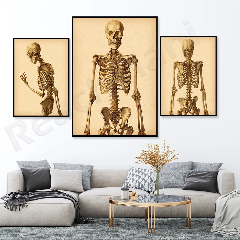 Bones anatomy retro poster medical decoration clinic wall art orthopedics gift chiropractor gift doctor office decoration
Bones anatomy retro poster medical decoration clinic wall art orthopedics gift chiropractor gift doctor office decoration