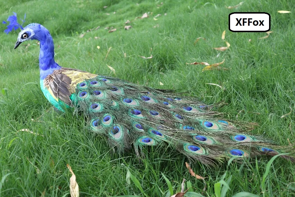 beautiful real life peacock model foam&feather lovely peacock bird gift about 100cm d0032
beautiful real life peacock model foam&feather lovely peacock bird gift about 100cm d0032