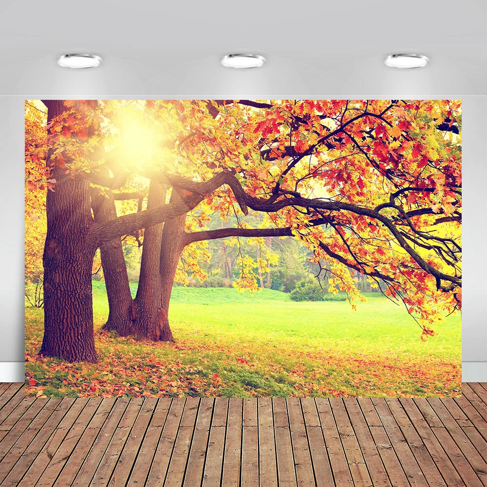 Sunny Outdoor Autumn Maple Trees Backdrops Photography Studio Backgrounds for Wedding Photo Booth Props
Sunny Outdoor Autumn Maple Trees Backdrops Photography Studio Backgrounds for Wedding Photo Booth Props