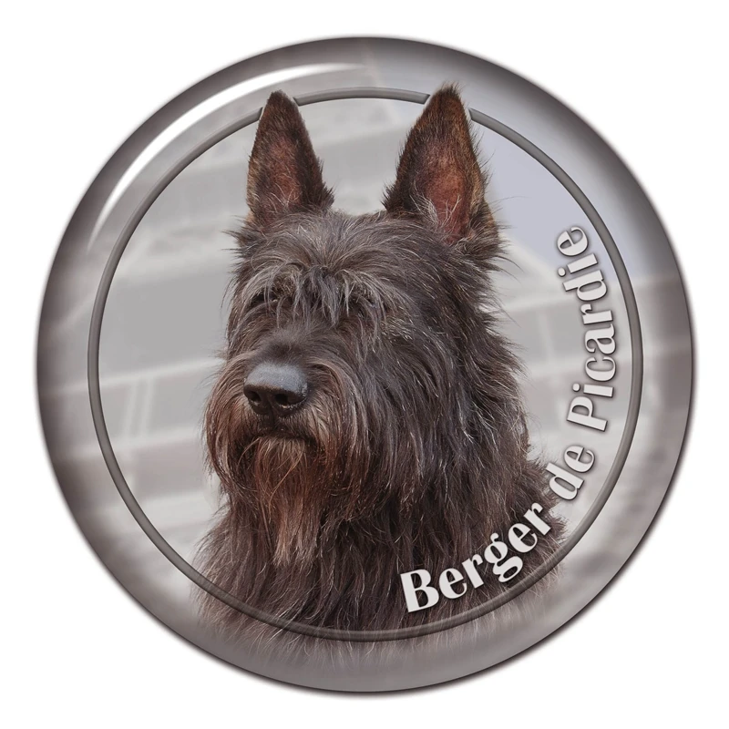 S30444# 13CM/15CM/17CM PVC Decal Berger De Picardie Dog V1 Car Sticker Waterproof for Bumper Rear Window Laptop Toilet
S30444# 13CM/15CM/17CM PVC Decal Berger De Picardie Dog V1 Car Sticker Waterproof for Bumper Rear Window Laptop Toilet