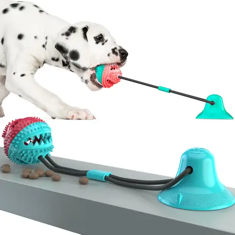 Pet Gnawing Toys, Teething and Leaking Utensils, Bite Resistant Balls, Teeth Cleaning Dogs, Toothbrushes, Brushes