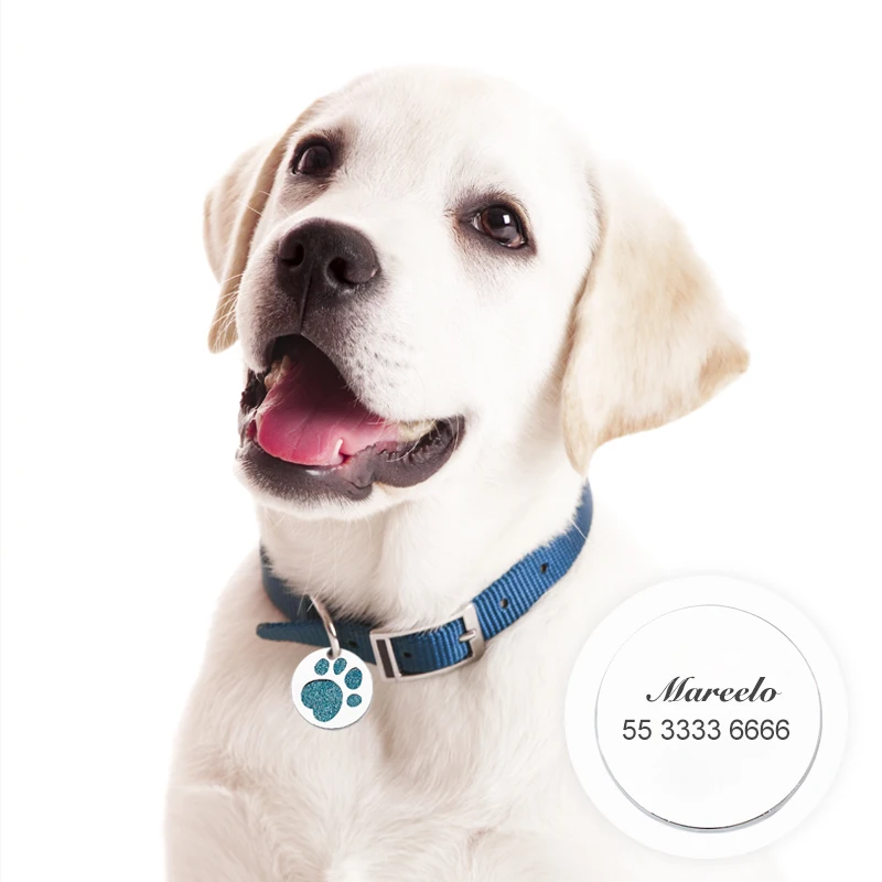 Personalized Custom Dog Tag Creative Dog Paw Dog Cat Tag Collar Anti-lost Pet Name Plate Metal Pendant Keychain Pet Accessories
Personalized Custom Dog Tag Creative Dog Paw Dog Cat Tag Collar Anti-lost Pet Name Plate Metal Pendant Keychain Pet Accessories