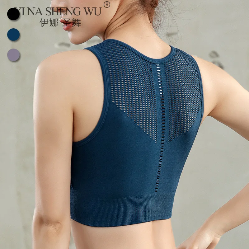 Women Sports Crop Tops Yoga Bra Push Up Underwear Fitness Brassiere Bras Athletic Vest Shockproof Shirt Sport Running Sportswear
Women Sports Crop Tops Yoga Bra Push Up Underwear Fitness Brassiere Bras Athletic Vest Shockproof Shirt Sport Running Sportswear