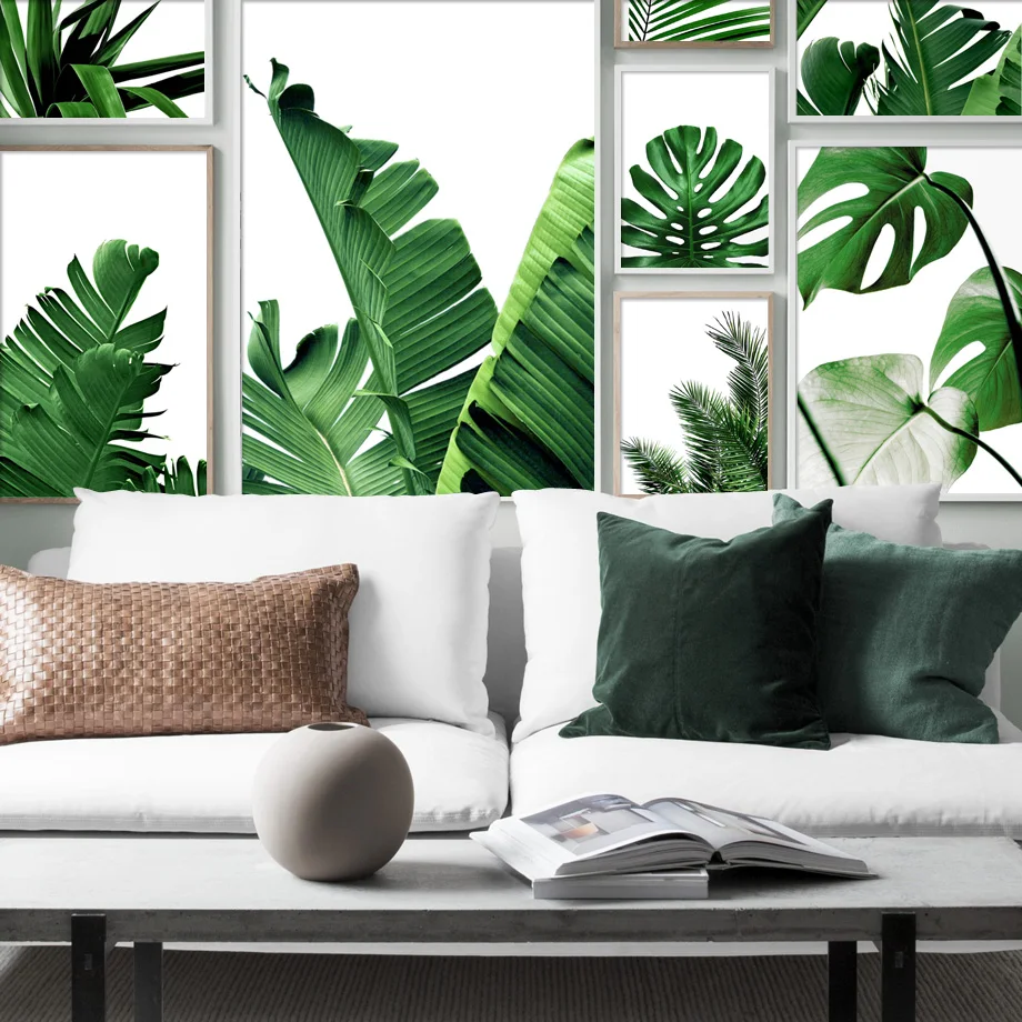 Fresh Palm Leaf Monstera Chlorophytum Wall Art Canvas Painting Nordic Posters And Prints Wall Pictures For Living Room Decor
Fresh Palm Leaf Monstera Chlorophytum Wall Art Canvas Painting Nordic Posters And Prints Wall Pictures For Living Room Decor