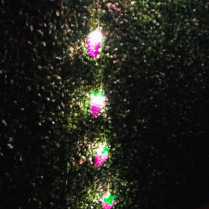 LED Battery String Light Fruit Light String Lantern Wedding Party Room For Christmas Glow Party Home Decor Led String Lighting
LED Battery String Light Fruit Light String Lantern Wedding Party Room For Christmas Glow Party Home Decor Led String Lighting