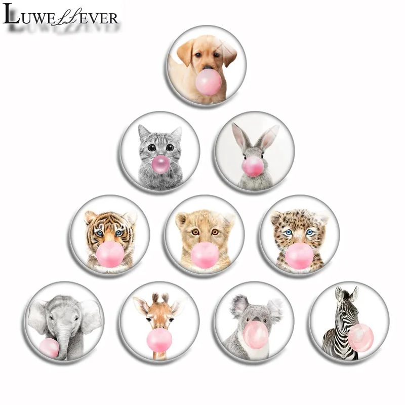 10mm 12mm 14mm 16mm 20mm 25mm 492 Bubble Gum Animal Mix Round Glass Cabochon Jewelry Finding 18mm Snap Button Charm Bracelet
10mm 12mm 14mm 16mm 20mm 25mm 492 Bubble Gum Animal Mix Round Glass Cabochon Jewelry Finding 18mm Snap Button Charm Bracelet