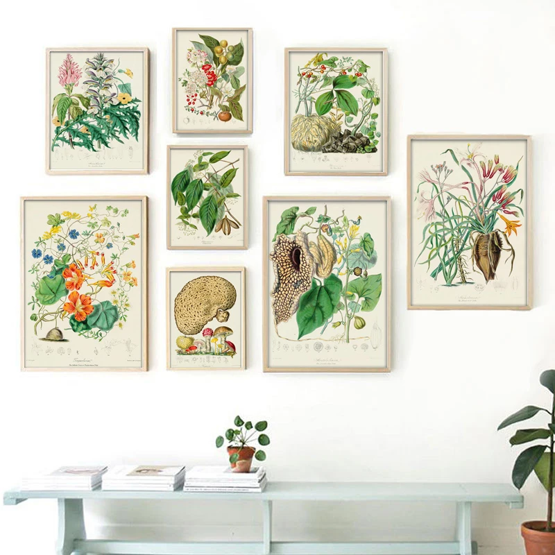 Botanical Collection Vintage Posters Prints Botanical Herbs Wall Art Pictures Plants Canvas Painting Home Living Room Wall Decor
Botanical Collection Vintage Posters Prints Botanical Herbs Wall Art Pictures Plants Canvas Painting Home Living Room Wall Decor