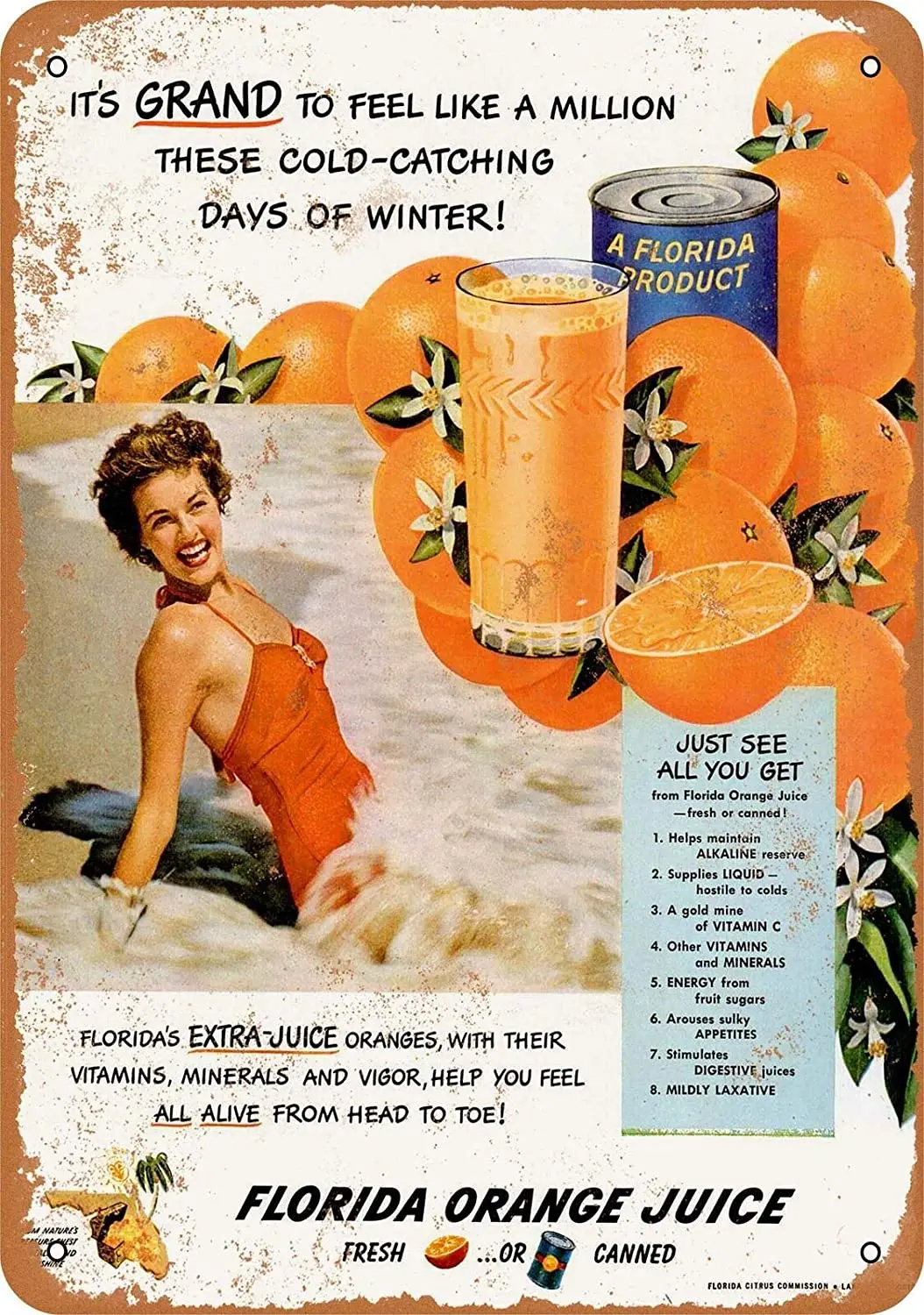 Vintage Metal Tin Sign 1950 Florida Orange Juice Home Bar Kitchen Wall Decor Hanging Signs 12X8Inch
Vintage Metal Tin Sign 1950 Florida Orange Juice Home Bar Kitchen Wall Decor Hanging Signs 12X8Inch