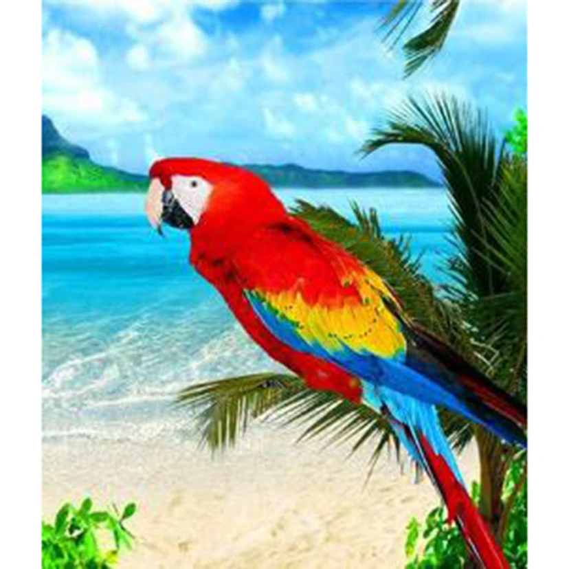 Diamond Painting 5D DIY Animal Painting Seaside Parrot Beauty Picture Square/Round Diamond Cross Stitch Decoration Art WG3280
Diamond Painting 5D DIY Animal Painting Seaside Parrot Beauty Picture Square/Round Diamond Cross Stitch Decoration Art WG3280