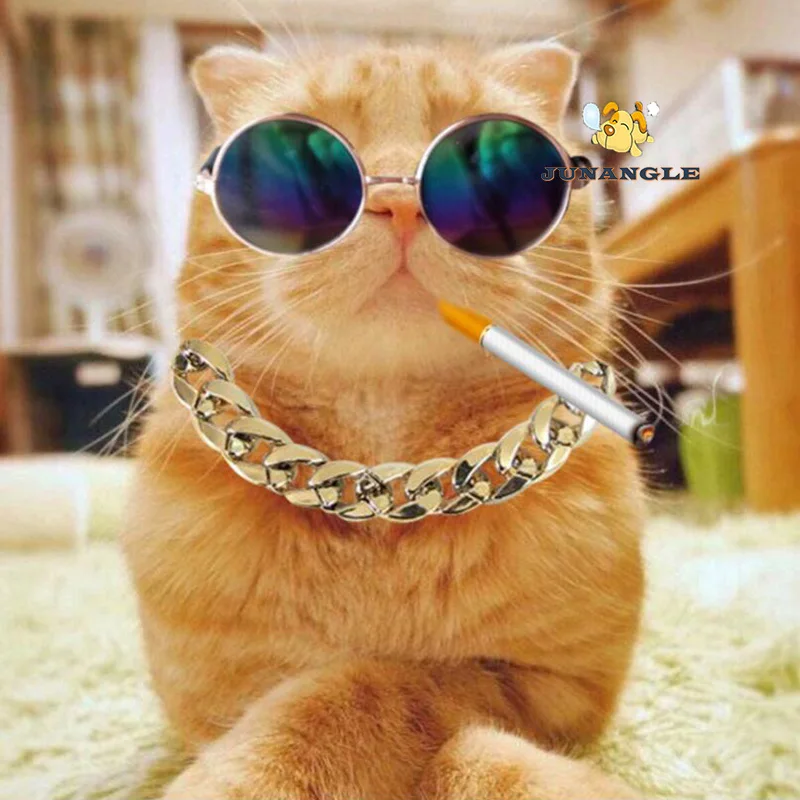 Plastic Gold Chain Necklace for Cat and Dog, French Bulldog, Teddy Bago, Poodle Collar, Puppy Cat Collars, Pets Supplies
Plastic Gold Chain Necklace for Cat and Dog, French Bulldog, Teddy Bago, Poodle Collar, Puppy Cat Collars, Pets Supplies