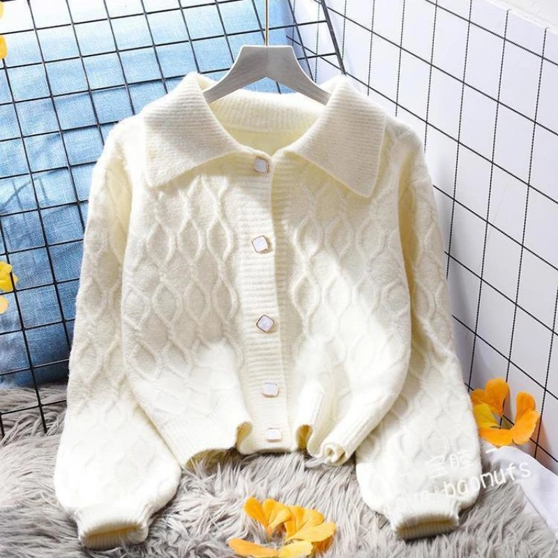 2020 new single-breasted women's short long-sleeved cardigan sweater elegant soft elastic knitted jacket autumn women
2020 new single-breasted women's short long-sleeved cardigan sweater elegant soft elastic knitted jacket autumn women