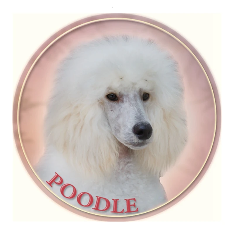 S40339# Various Sizes PVC Decal Poodle Dog Car Sticker Waterproof For Bumper Rear Window Laptop Refrigerator Toilet
S40339# Various Sizes PVC Decal Poodle Dog Car Sticker Waterproof For Bumper Rear Window Laptop Refrigerator Toilet