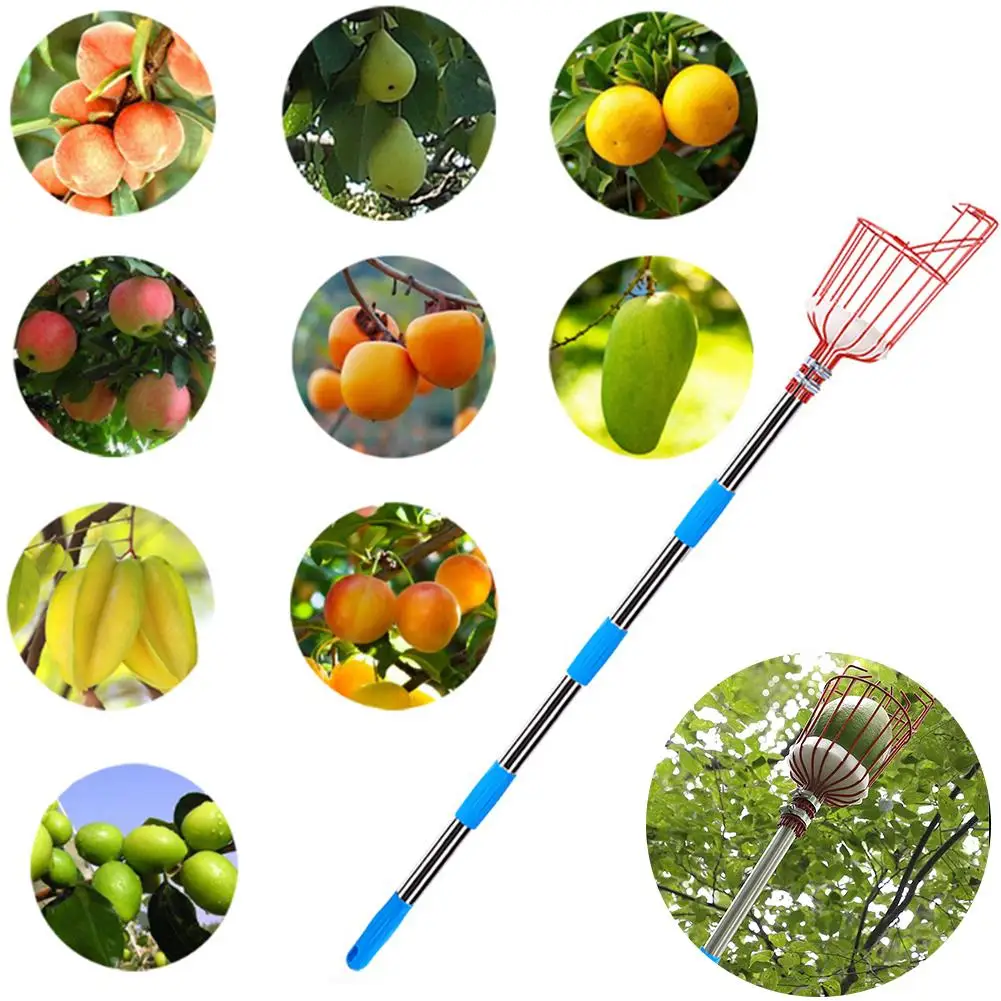 High-altitude Artifact Stainless Steel Fruit Picking Machine Wheat Field Fruit Picking Tool with Storage Bag Garden Tools
High-altitude Artifact Stainless Steel Fruit Picking Machine Wheat Field Fruit Picking Tool with Storage Bag Garden Tools