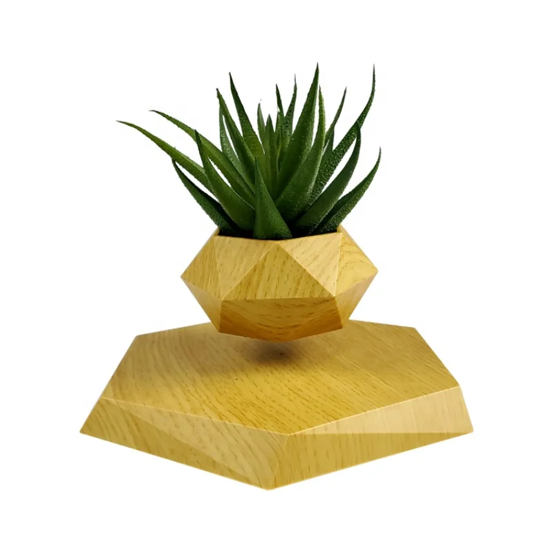 2021 new invention Metal Iron Home Garden Planters Display Cheap Bamboo Wood Flower Pot
2021 new invention Metal Iron Home Garden Planters Display Cheap Bamboo Wood Flower Pot