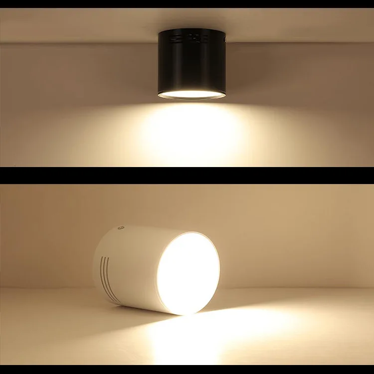LED Ceiling light Surface mounted Dimmable Ceiling lamps Cylinder 7W 12W 18W for Bedroom,Living room,study,office,shop,Studio
LED Ceiling light Surface mounted Dimmable Ceiling lamps Cylinder 7W 12W 18W for Bedroom,Living room,study,office,shop,Studio