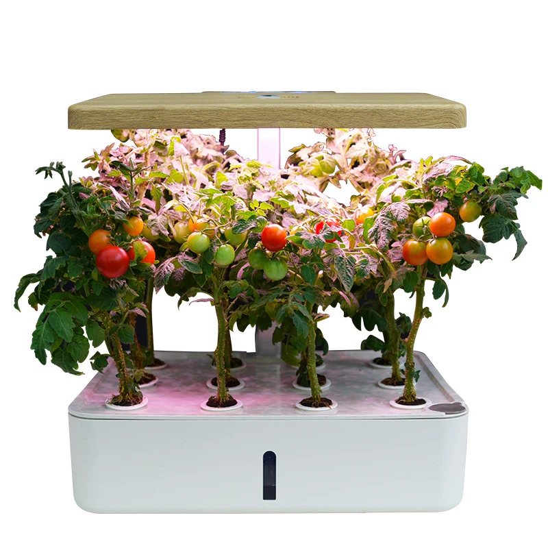 Hydroponic growing systems indoor plant smart garden helping children to observe the process of growthCD
Hydroponic growing systems indoor plant smart garden helping children to observe the process of growthCD