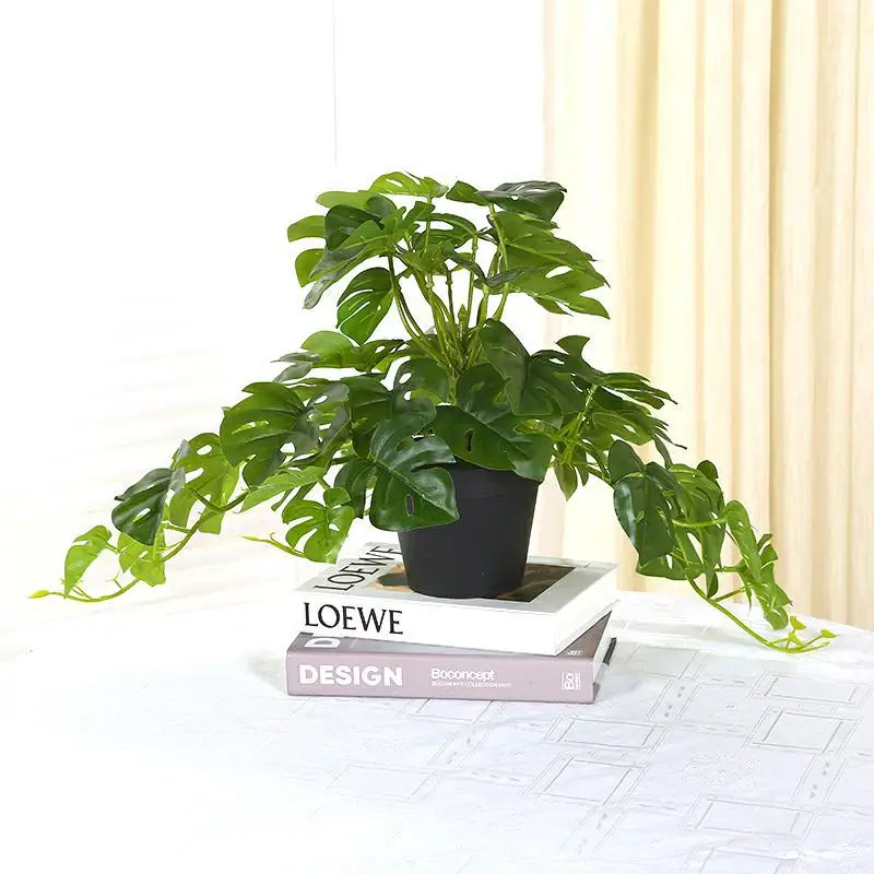 Artificial Green Plant Simulation Turtle Back Leaf Fake Flower Conference Table Wedding Landscaping Home Decoration Accessories
Artificial Green Plant Simulation Turtle Back Leaf Fake Flower Conference Table Wedding Landscaping Home Decoration Accessories