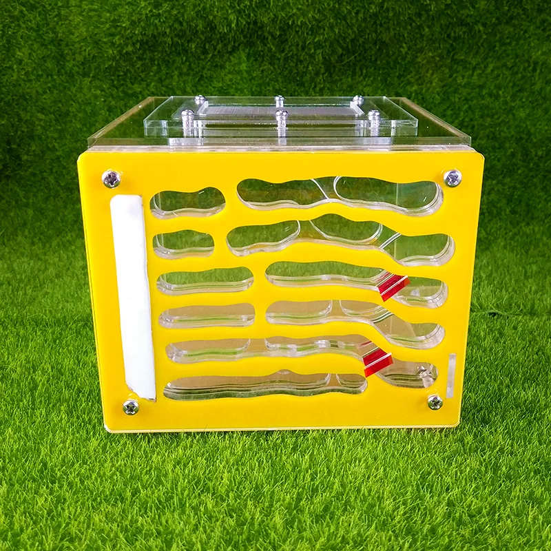 Acrylic Large Moisturizing Ant Nest Pet Ant Castle Workshop Home can be stratified boxes ants farm house
Acrylic Large Moisturizing Ant Nest Pet Ant Castle Workshop Home can be stratified boxes ants farm house