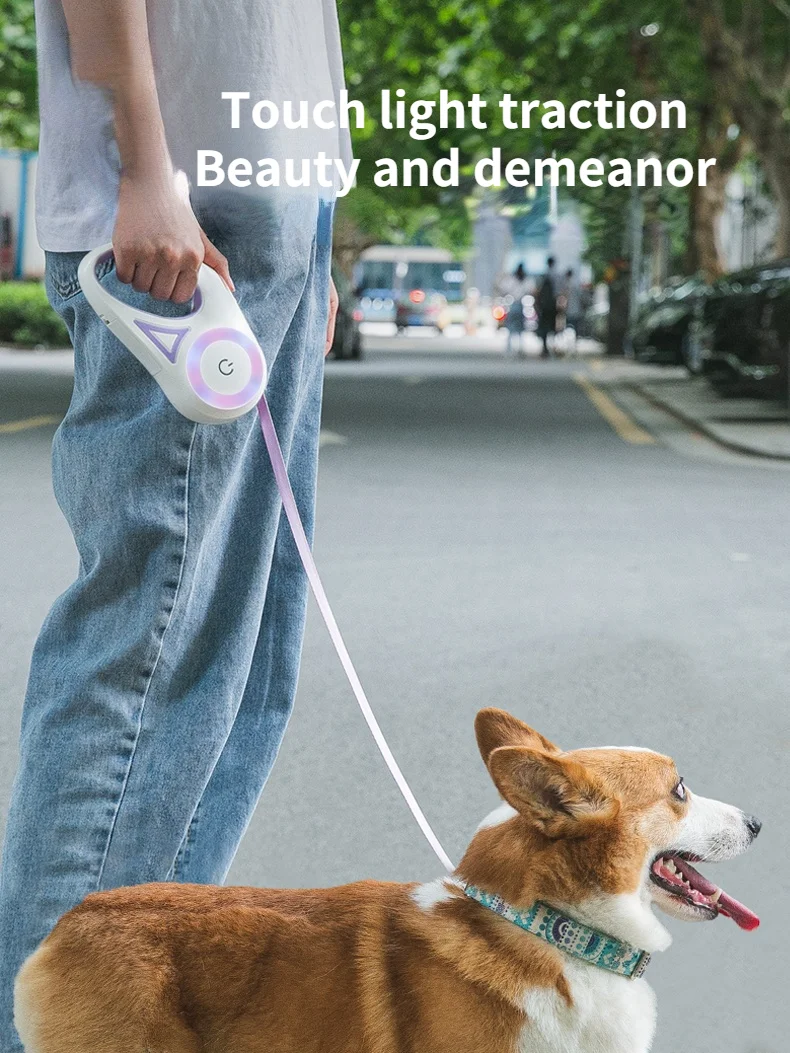 Small Medium dog harness with Lights Automatically retractable Outing leash and collar set chain Pet accessories
Small Medium dog harness with Lights Automatically retractable Outing leash and collar set chain Pet accessories