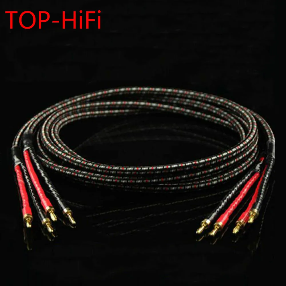 TOP-HiFi пара AQ CV8 7N OCC Акустический кабель усилитель CD динамик аудиокабель с CMC BFA разъем типа банан
TOP-HiFi пара AQ CV8 7N OCC Акустический кабель усилитель CD динамик аудиокабель с CMC BFA разъем типа банан