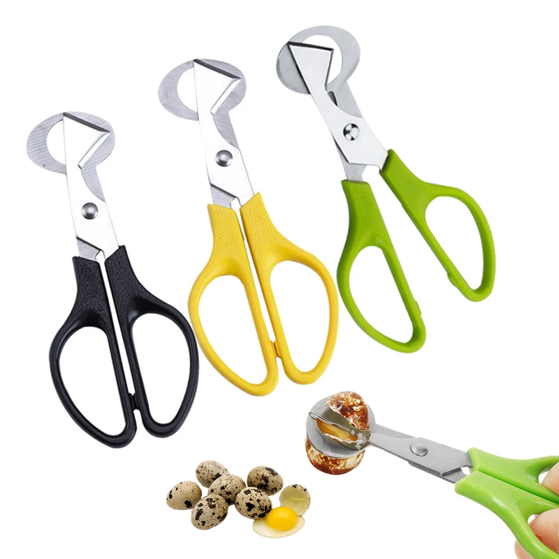 2Pcs Pigeon Quail Egg Scissor Stainless Steel Cut Whisk Eggs Apparatus Multifunctional Cutting Device Kitchen Housewife Tools
2Pcs Pigeon Quail Egg Scissor Stainless Steel Cut Whisk Eggs Apparatus Multifunctional Cutting Device Kitchen Housewife Tools