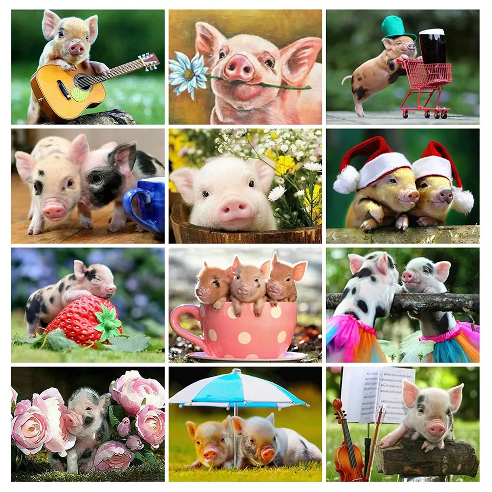 5D DIY Diamond Painting Animal Pig Picture Rhinestone Mosaic Art Full Drill Cross Stitch Kit Handmade Gift Home Decoration
5D DIY Diamond Painting Animal Pig Picture Rhinestone Mosaic Art Full Drill Cross Stitch Kit Handmade Gift Home Decoration