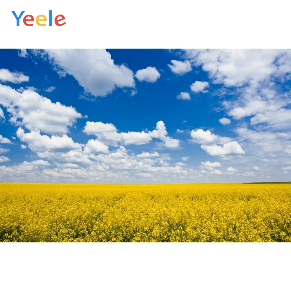 Yeele Nature Scenery Backdrop Travel Flower Sky Newborn Baby Birthday Party Photography Background For Photo Studio Photocall
Yeele Nature Scenery Backdrop Travel Flower Sky Newborn Baby Birthday Party Photography Background For Photo Studio Photocall