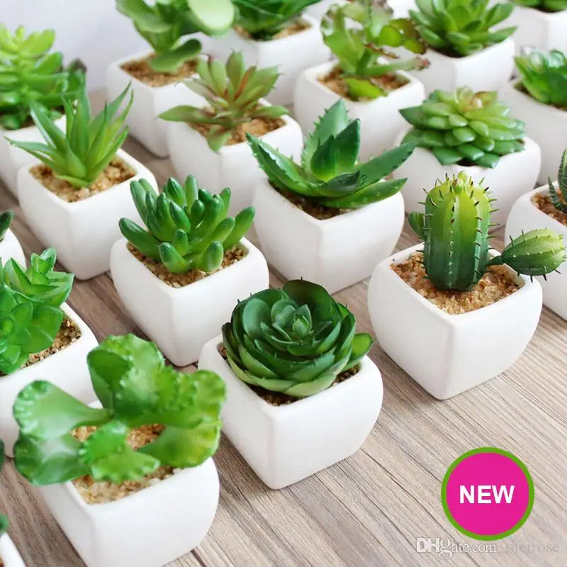 Mini Artificial Green Plants With Ceramic Pot PVC Green Bonsai Potted Landscape Succulent & Cactus for Office Home Decoration 93
Mini Artificial Green Plants With Ceramic Pot PVC Green Bonsai Potted Landscape Succulent & Cactus for Office Home Decoration 93