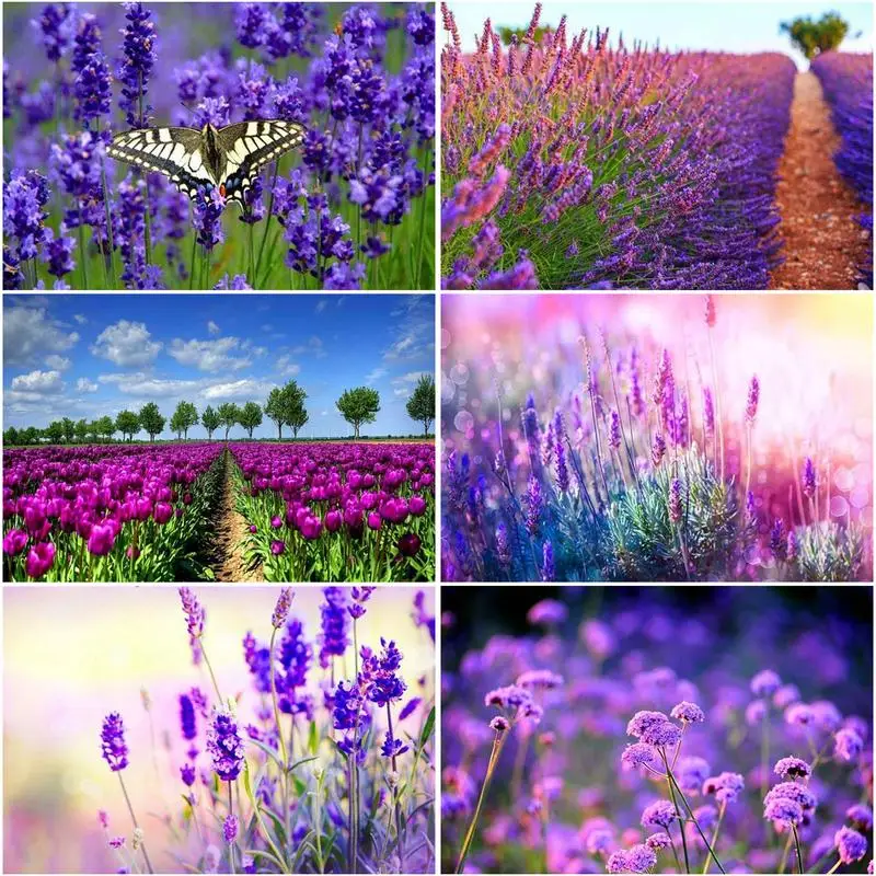 RUOPOTY Diamond Embroidery Sale 5D DIY Diamond Painting Full Square Lavender Mosaic Flowers Picture Of Rhinestone Diy Gift
RUOPOTY Diamond Embroidery Sale 5D DIY Diamond Painting Full Square Lavender Mosaic Flowers Picture Of Rhinestone Diy Gift